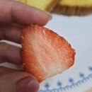 최고농장 | 설향 딸기 중 최고 당도 보장! 솜이프룻 농장 직배송 구매 후기