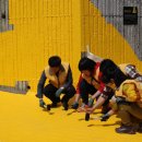 옐로카펫 이미지