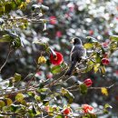 옥룡사지 이미지