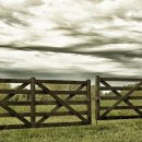 왕진농장 이미지