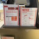 (주)대한무역 | 셀린느 트리옹프 01 선글라스 현대백화점 무역센터점에서 내돈내산 구입후기