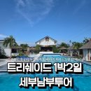 [필리핀] 세부 남부투어 1박2일 내돈내산 솔직후기｜오슬롭 고래상어·캐녀닝·모알보알·트리쉐이드...