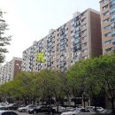 강남-151 이미지