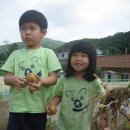 Big Potatoes And Small potatoes 이미지