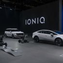 네이쳐아이오닉