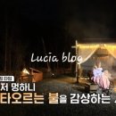 나는숲이다 네이버블로그