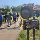 sd16 동문회 2026년 봄 나들이 '강화도및 교동도 여행' 후기 이미지