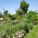 선월농장 이미지