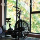 바카티오 이미지