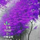 낭만목장 이미지