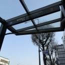 [용산/숙대 입구] 물들이다 사진관 / 어항 프로필 촬영 후기 / 너무 만족스러웠던 1:1 맞춤 보정