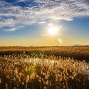 가을노을C 이미지