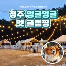 대전 근교 애견 동반 청주 멍글멍글 펫 글램핑 솔직후기