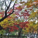 목동동로1길 이미지