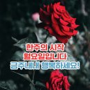 [☆출석글☆]2023년 2월13일 월요일 출석부/충청사랑방 이미지