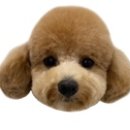 밤스(BAM'S) 강아지 미용실 이미지