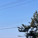 라미아까사플러스 이미지