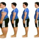 튼튼아이태권도 이미지