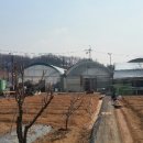 성결농장 이미지