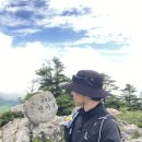 지리산 반야봉 최단 초보 등산코스 예약 없이 못 가는 노고단 후기