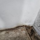 장미아파트 | 파주이사청소, 디테일이 다르다! 파주장미아파트 현장 후기