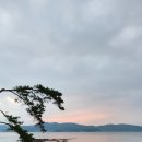 카페 호리 이미지