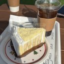 애견하우스 | 경기 광주 애견카페 오오미하우스 내돈내산 방문 후기｜입장료, 메뉴 등