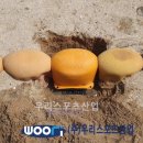 도둔초등학교 티스토리