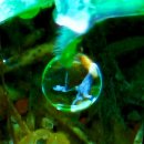 부평공원1 이미지