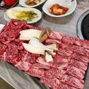 퍼스트터치컴퍼니