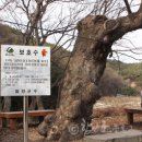 절부마을 이미지