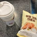 감기엔 역시 &lt;매머드 애플모과차&gt; + 우유 크림 크로슈까지