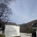 휘게짐 | [평창]휘게포레스트 B01후기