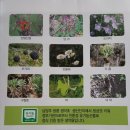 세화건강원 - 문경시 모전로 91 | 세화건강원
