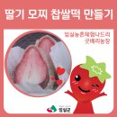 베리굿농장 이미지