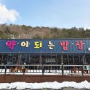 (주)약이되는밥상