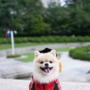 경희나린한의원 이미지