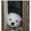 같이