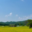 원주 법천사지 유적전시관 | 국보를 볼 수 있는 원주 가볼만한곳 법천사지유적전시관