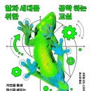 놀다 이미지