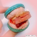 향남마카롱 맛집_마카블리 솔직후기 (벌써 3번 냠냠!!)
