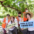 수분경로당 이미지