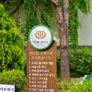 더 힐 골프 | 대전 근교에서 만족스러웠던 더힐cc 라운딩 후기