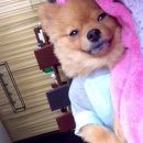 파티오 키친 네이버블로그