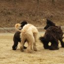 목화농원 이미지