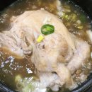 더황칠삼계탕 | 광주 신창동 맛집ㅣ조가네ㅣ 황칠삼계탕 솔직후기