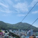 감정초교 이미지