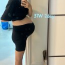 이삭피부나라 | 임신 36주 37주 가진통 농락당하기..경부길이 배크기 아기무게 임신일기