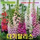 티티산업