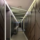 황실 | 청주 전통황실양고기 내돈내산 후기, 프라이빗한 룸에서 즐기는 양갈비